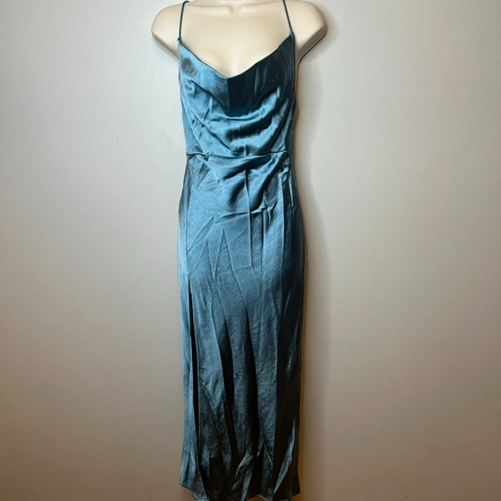 Lioness Walk The Line Dress NWT (2)